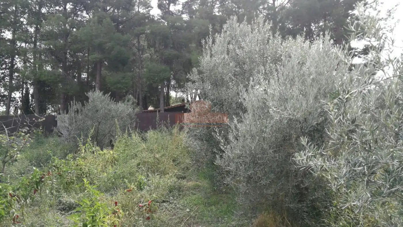 Haus oder Chalet zum Verkauf in Albacete mit Abstellraum und Balkon