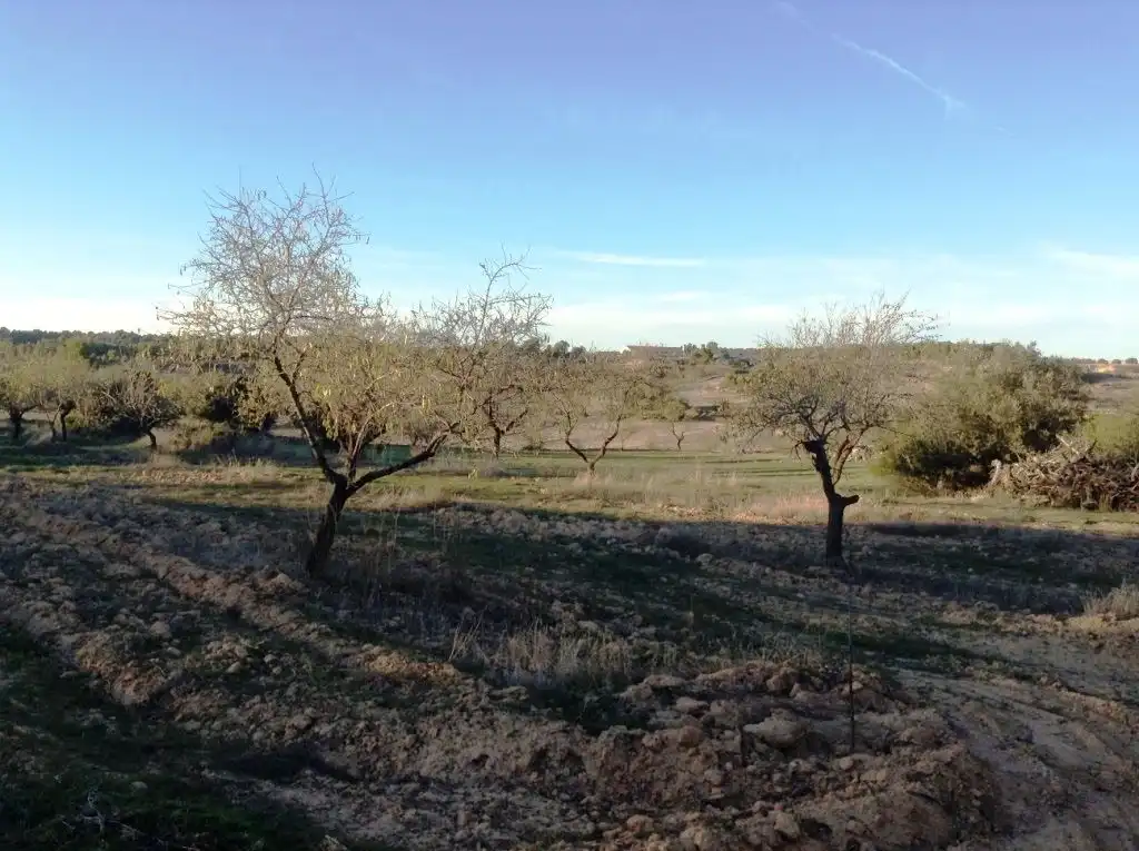 Terreni e lotti in vendita a Valderrobres