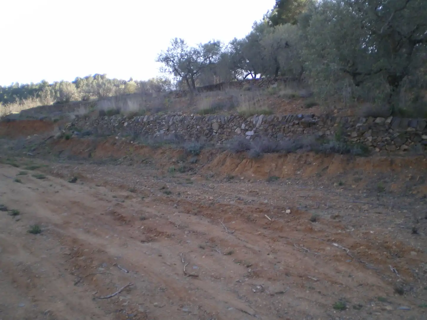 Terreno rustico in vendita a Riudecols, imagen 9