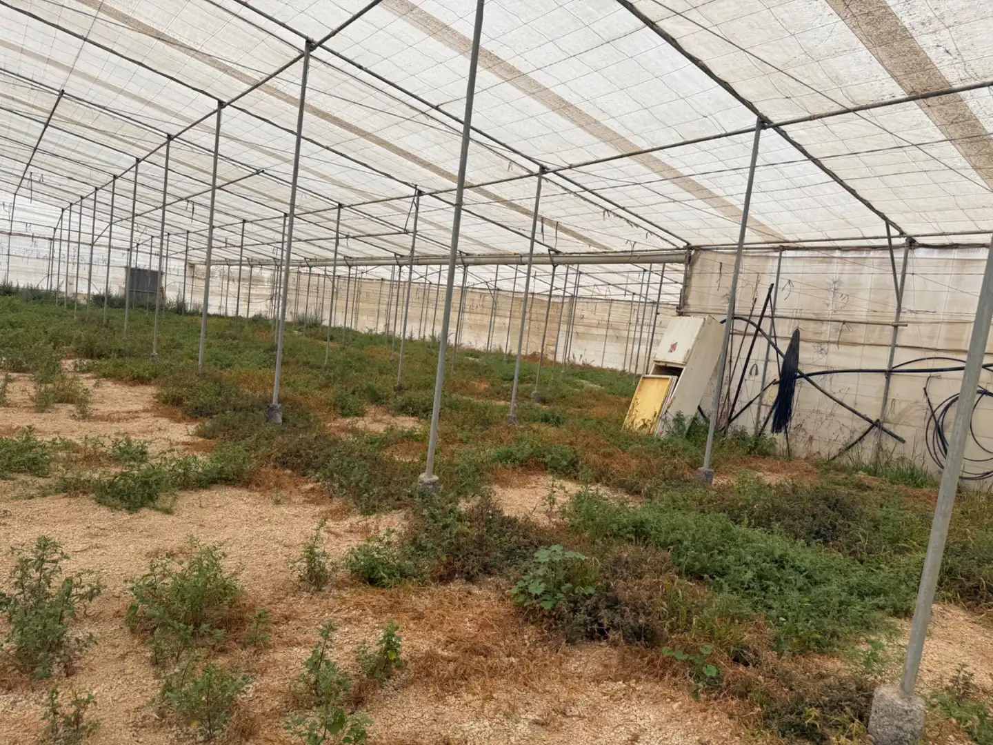 Terreno rustico in vendita a Calle Trece de Septiembre 17, imagen 31