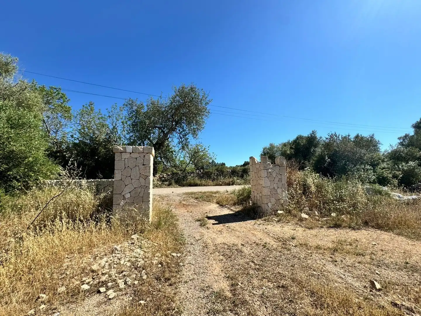 Grundstücke zum Verkauf in Algaida