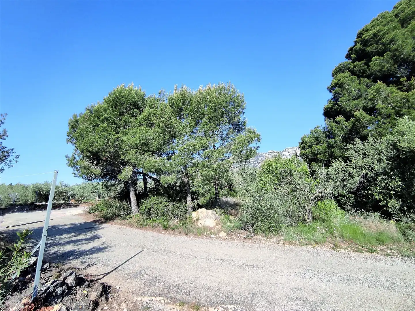Rural land for sale in Alcanar, imagen 3