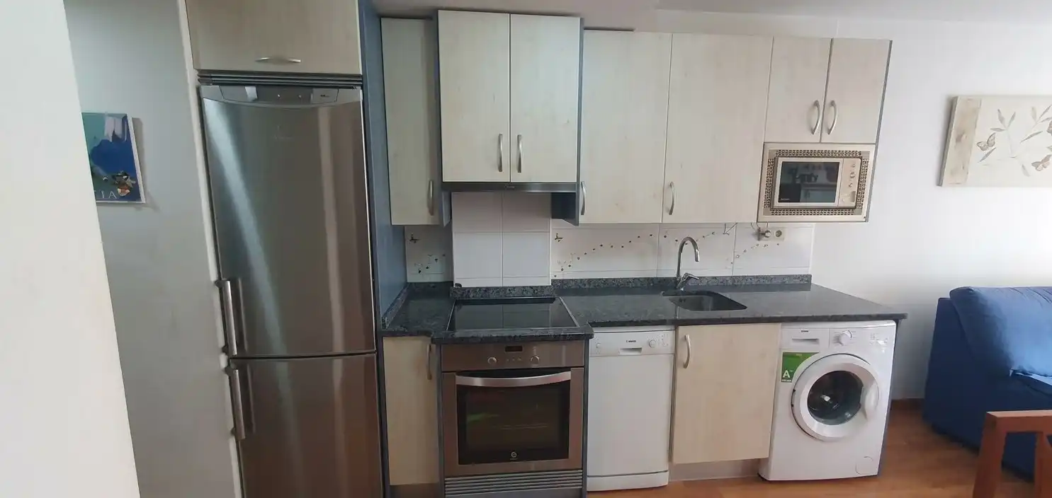 Flat with lift for sale in Bagatza - San Vicente, imagen 4