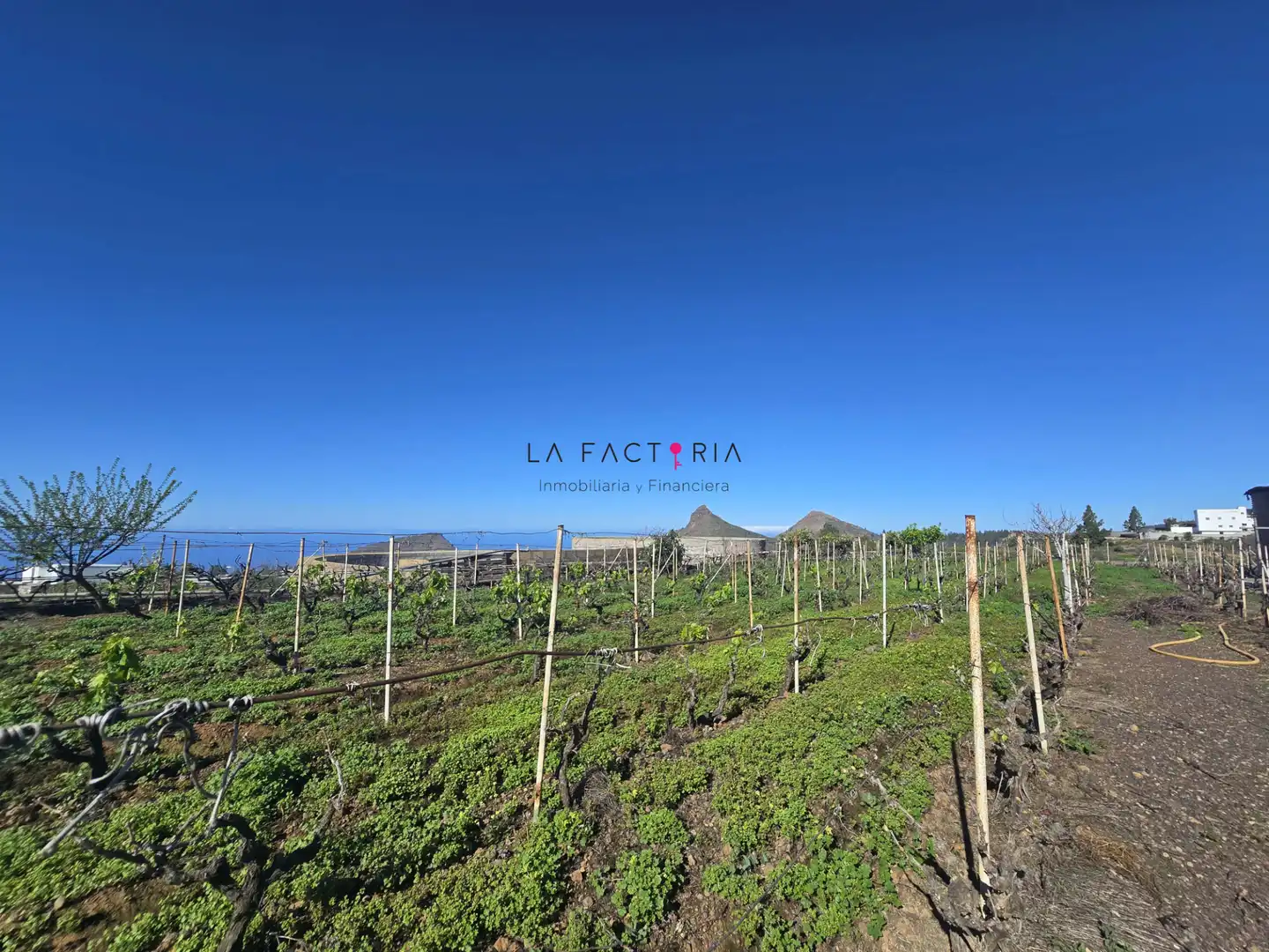 Terreno rústico en venta en Vilaflor de Chasna, imagen 15