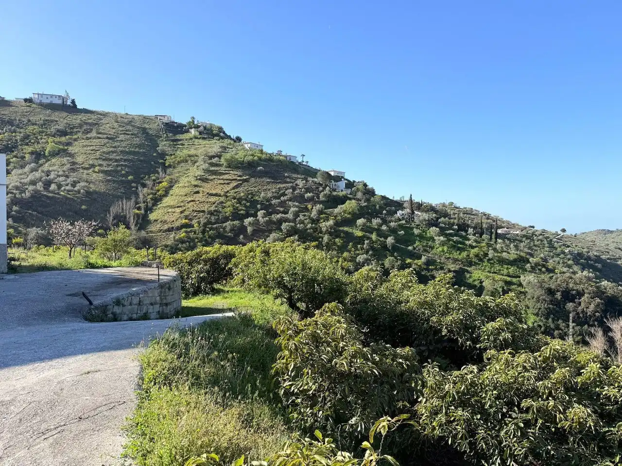 Exterior view of Land for sale in Canillas de Albaida