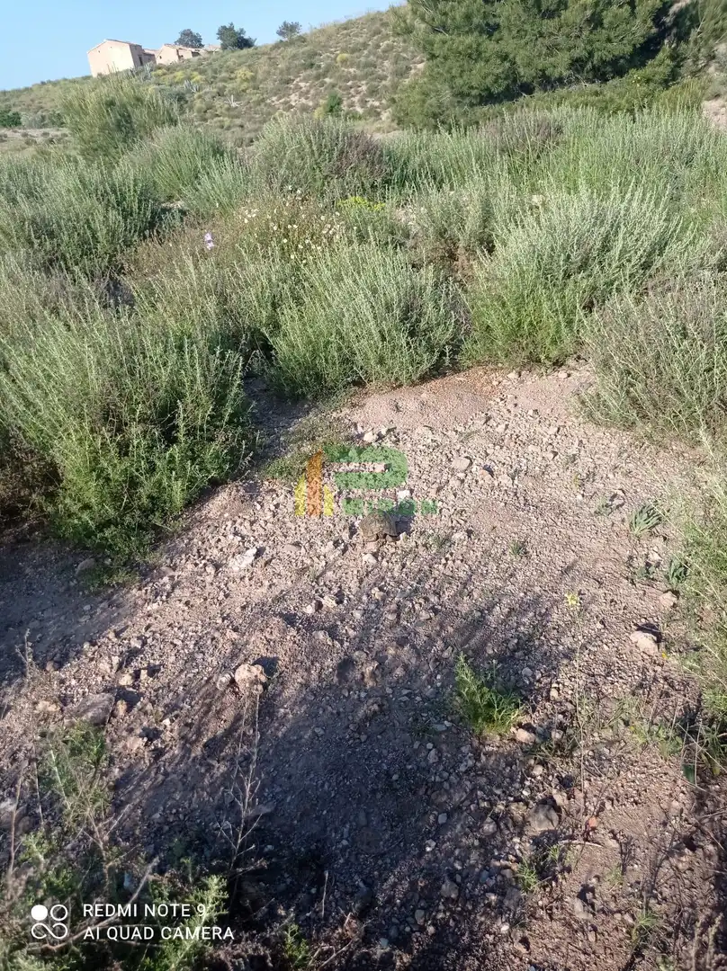 Lands and plots for sale in El saltador, imagen 2