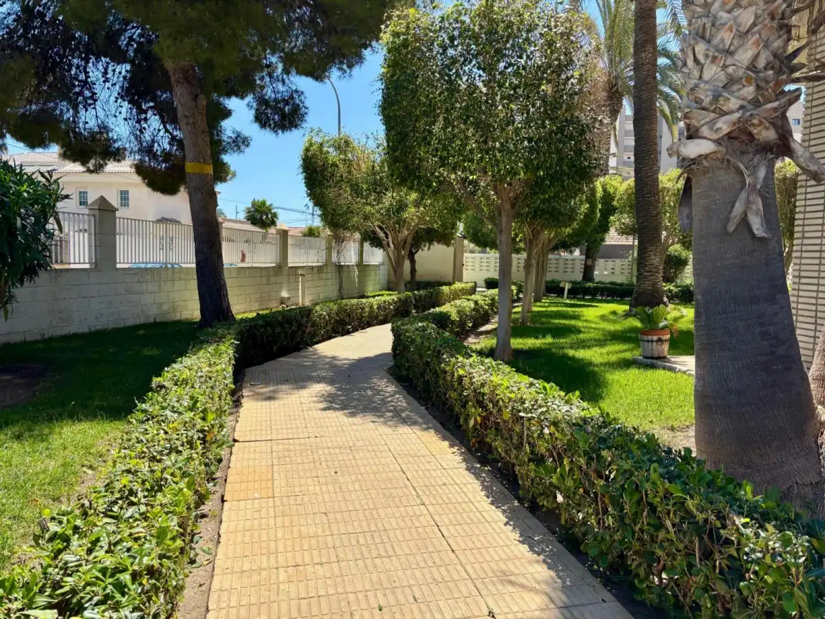Apartments for rent in PAU 5
