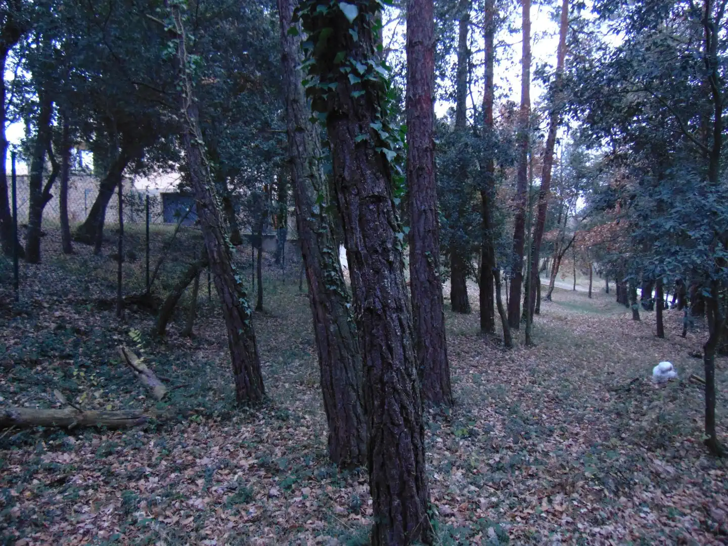 Residential land for sale in del Castell de la Popa 23, imagen 3