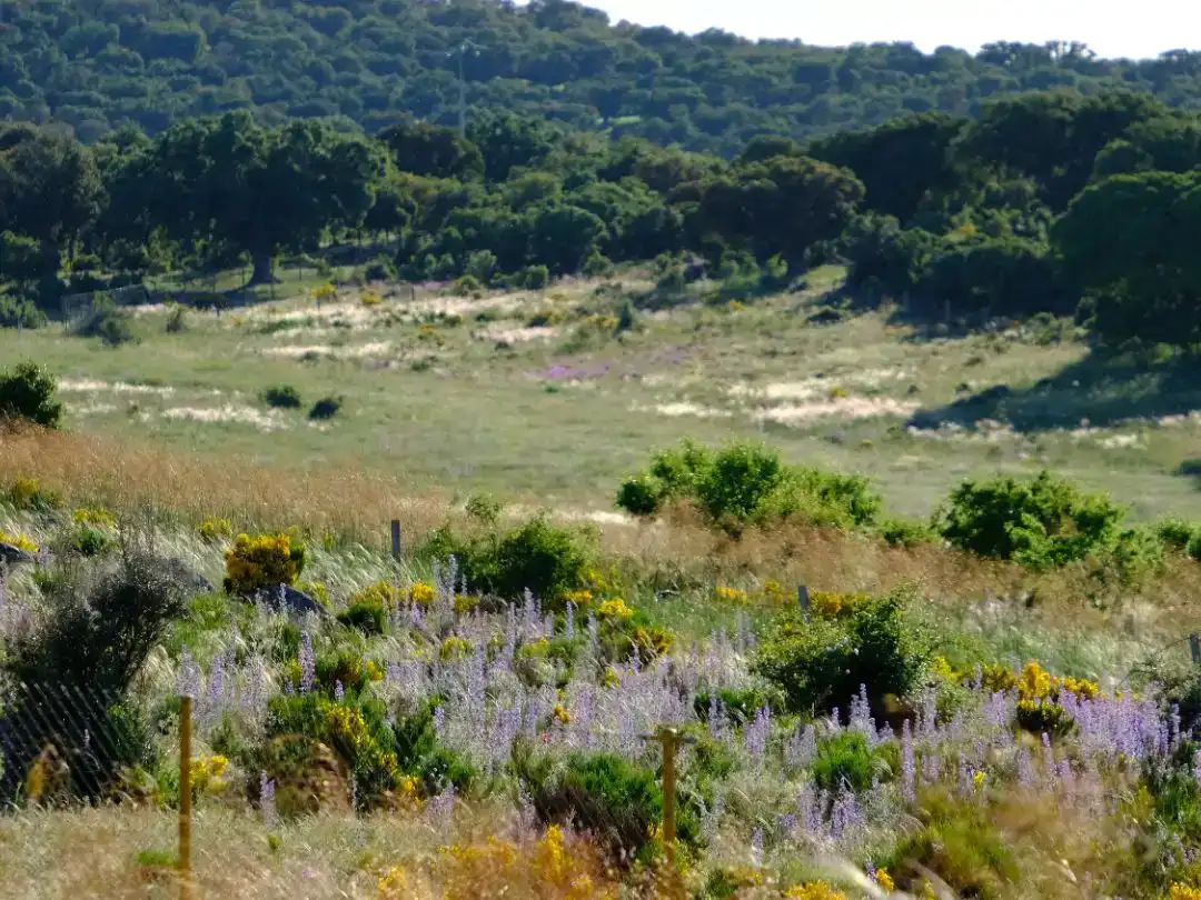 Jardín de Piso de alquiler en Marlín con Jardín privado y Amueblado