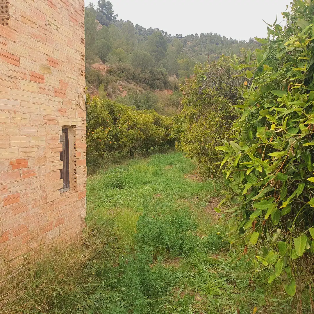 Terrain rustique à vendre à Benifallet, imagen 18
