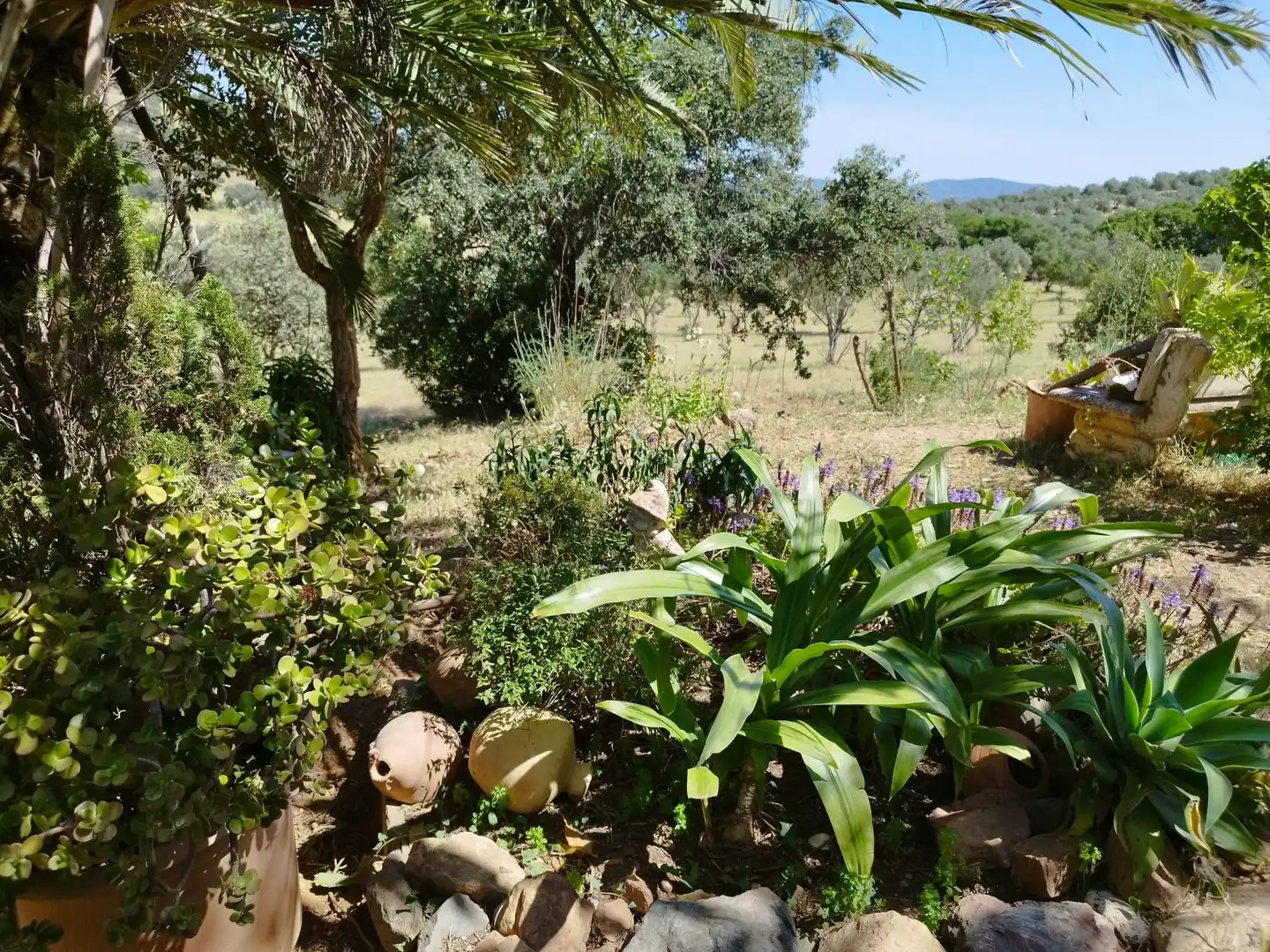 Jardí de Finca rústica en venda en Almadén de la Plata amb Jardí privat