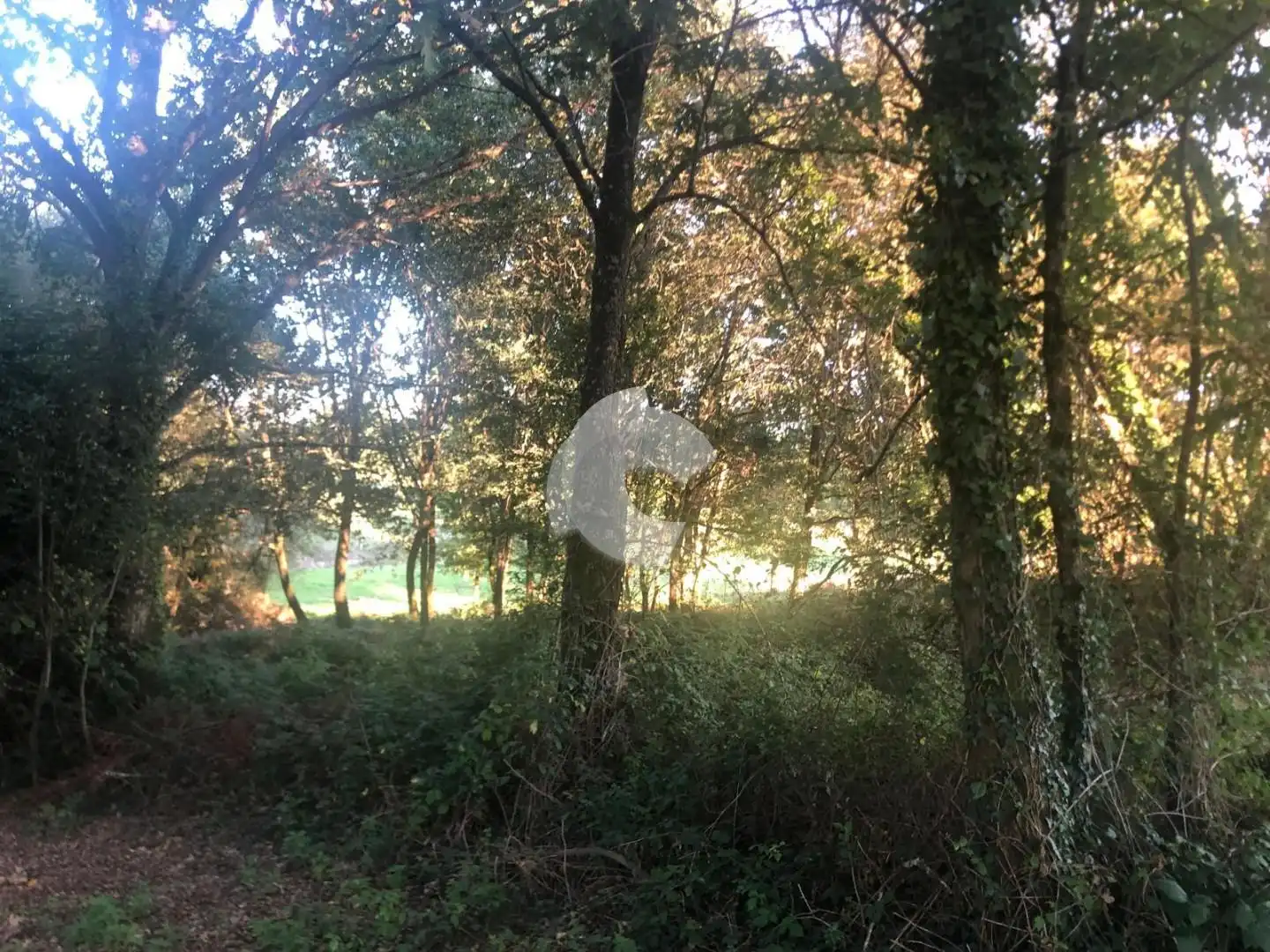 Terreni e lotti in vendita a Nogueira de Ramuín, imagen 39