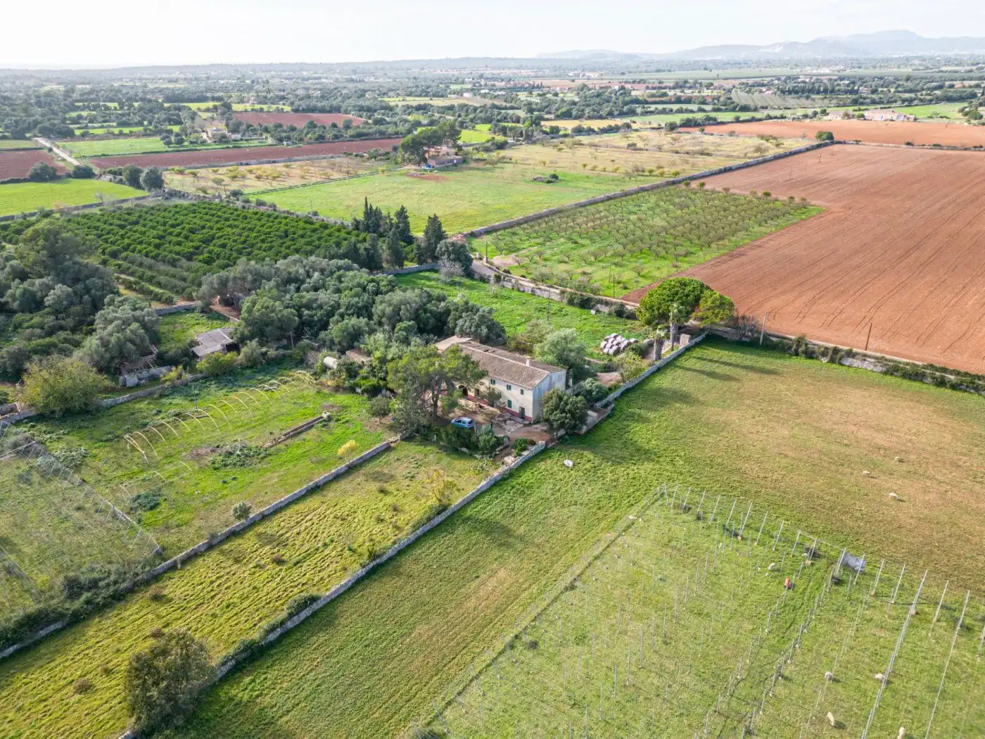 Residential land for sale in S'Horta - Cas Concos des Cavaller - Es Carritxó, imagen 5