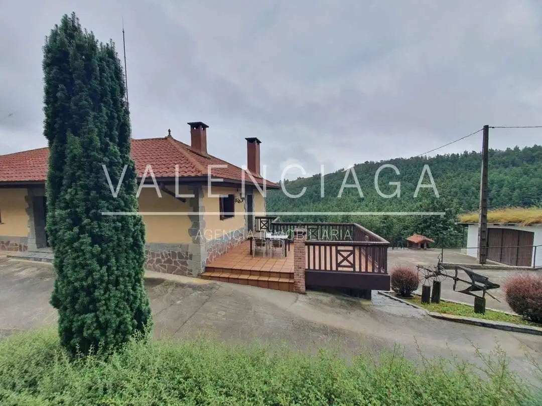 Vista exterior de Casa o chalet en venta en Zaldibia con Calefacción, Terraza y Balcón