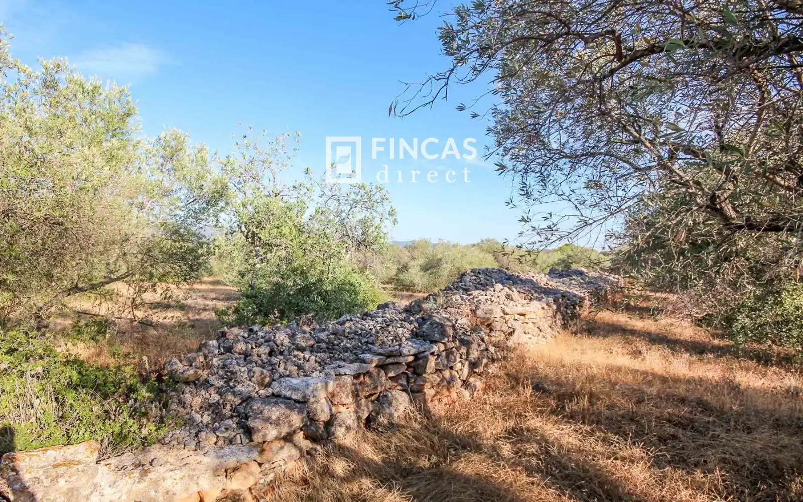 Country homes for sale in Xerta