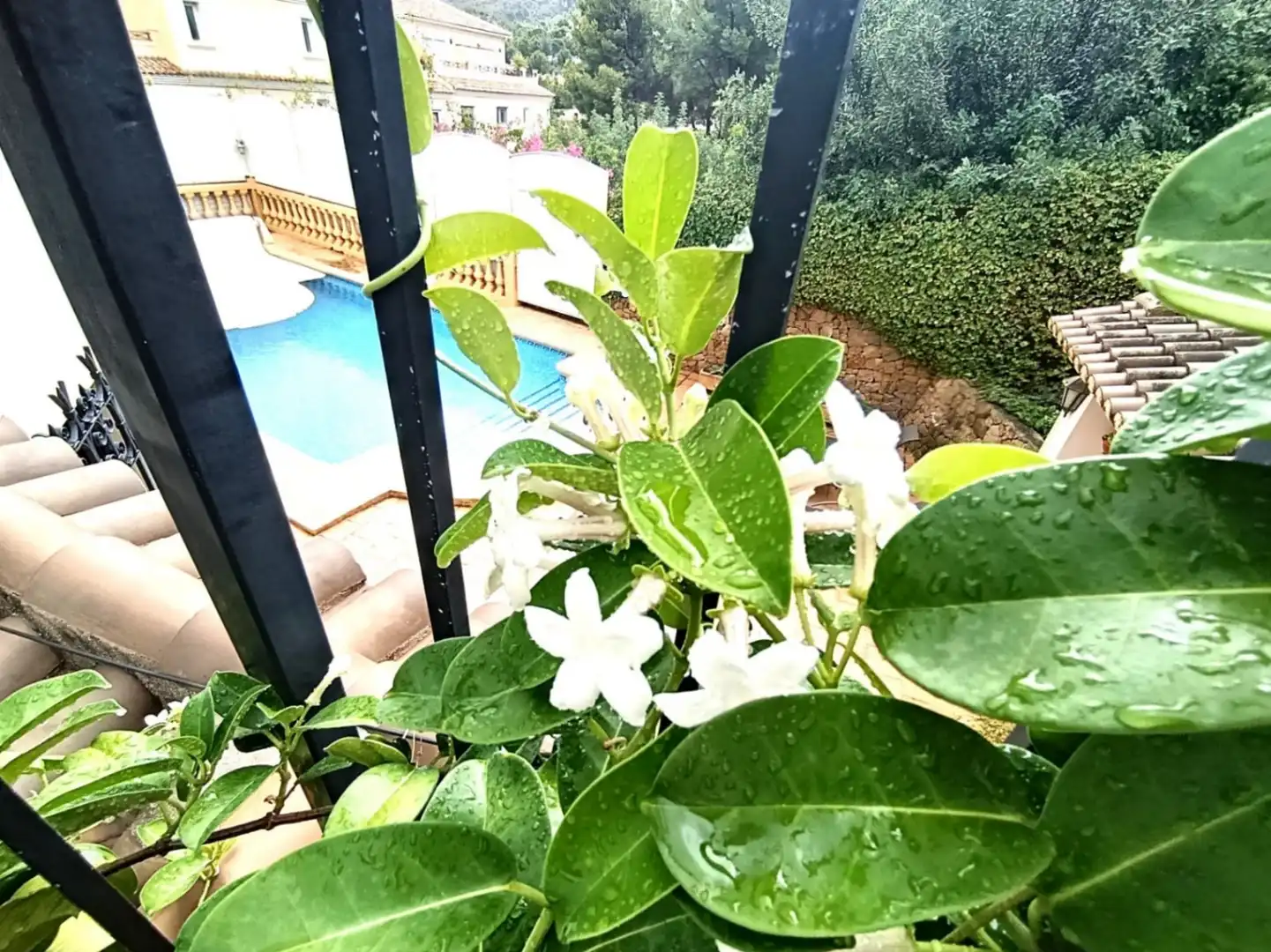 Detached house with pool for sale in La Pedrera - Vessanes, imagen 10