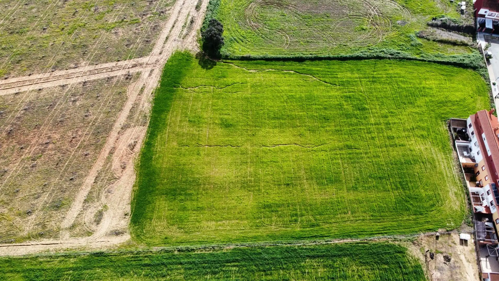 Land for sale in Carrión de los Céspedes
