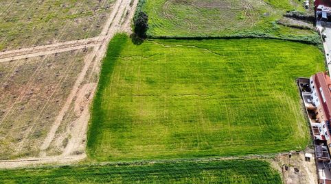 Foto 3 de Terreno en venta en Carretera Sc Subs, Carrión de los Céspedes, Sevilla
