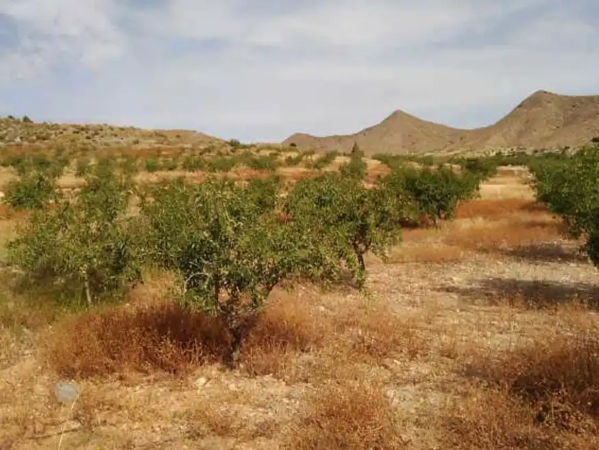 Wohnbaugrundstück zum Verkauf in Nº 81 Parcela 363. Paraje Los Simonetes, imagen 6