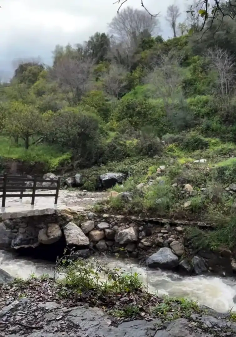 Vista exterior de Finca rústica en venta en Monda con Aire acondicionado, Jardín privado y Terraza
