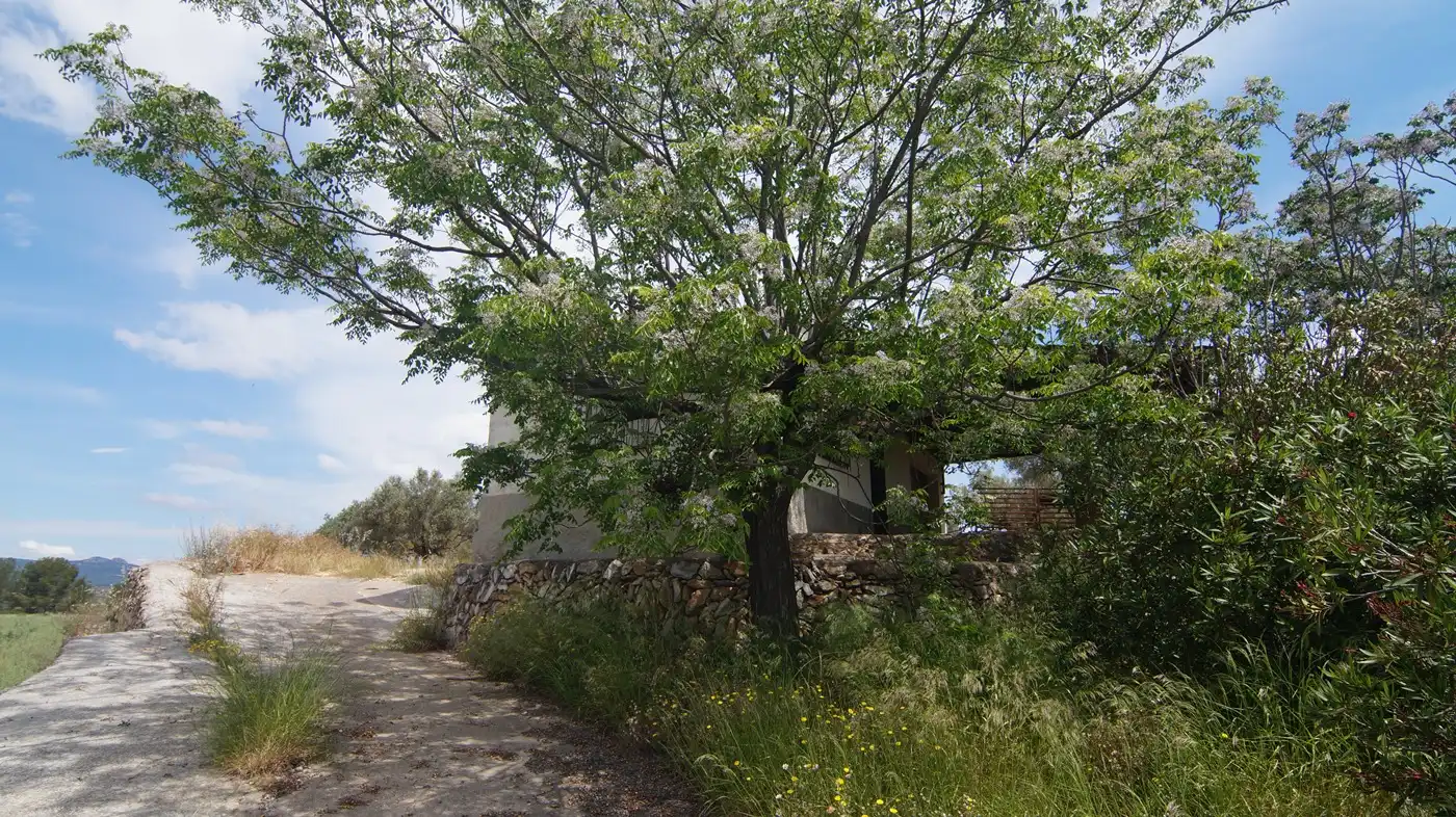 Terreno en venta en Ginestar