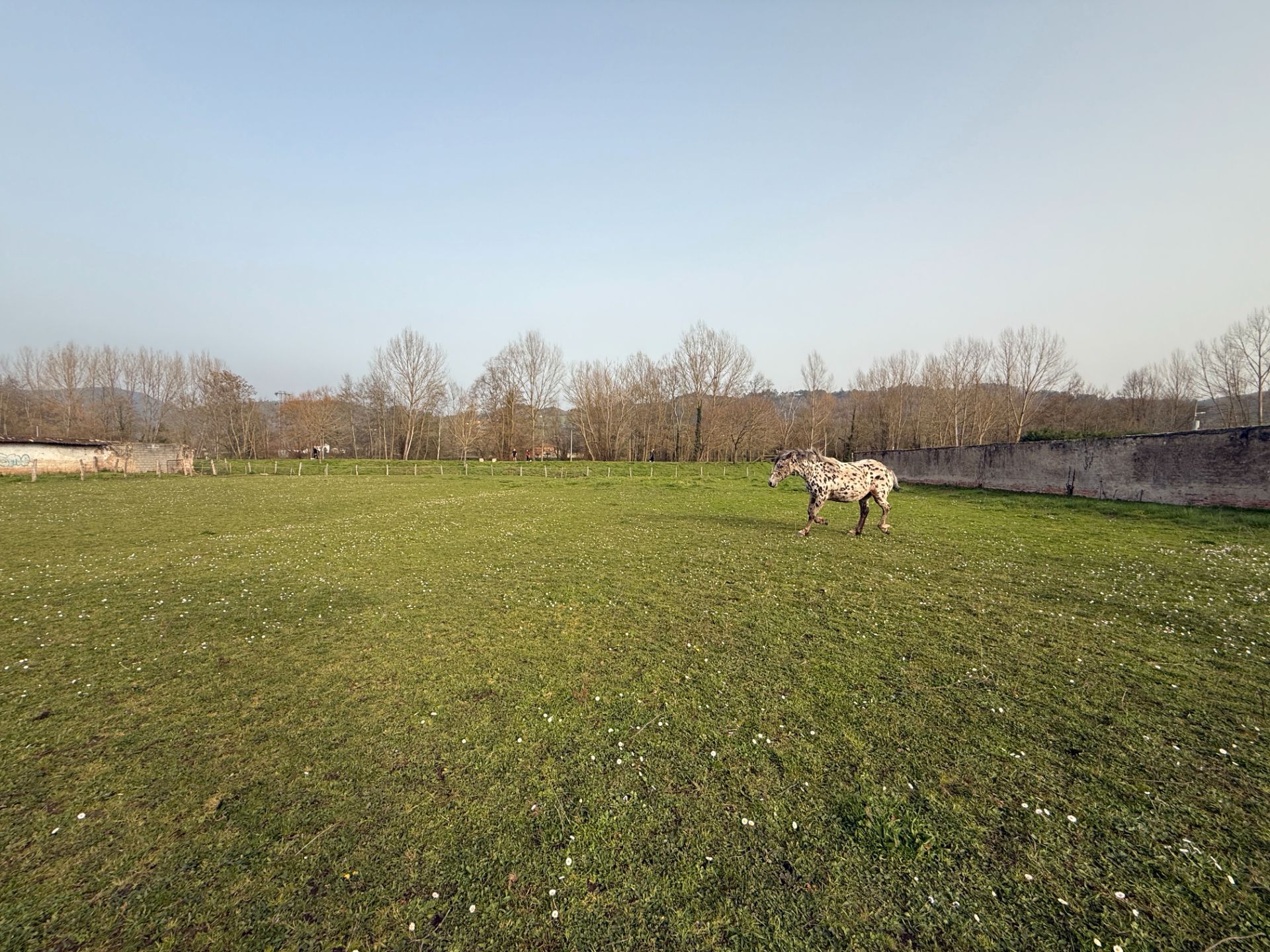 Houses for sale in Calle la Mayadera