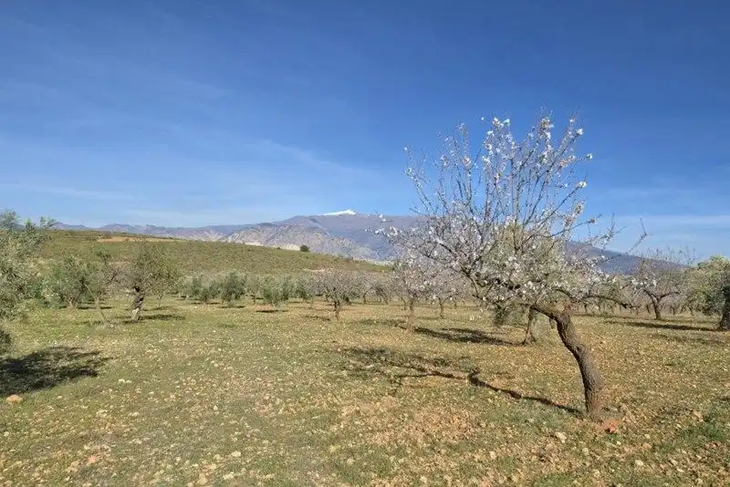 Terreni e lotti in vendita a Travesia Jose Mariano Vallejo, imagen 26