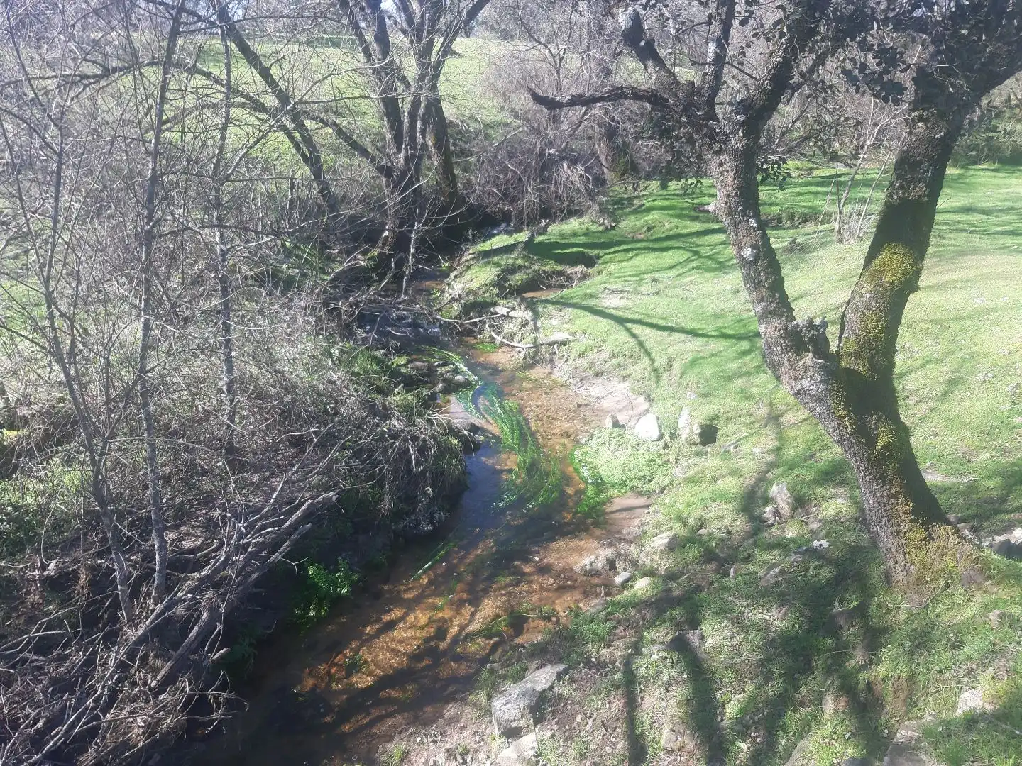 Terreno en venta en Mijares