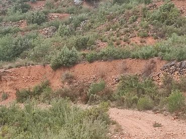 Terreny rústic en venda a Yátova