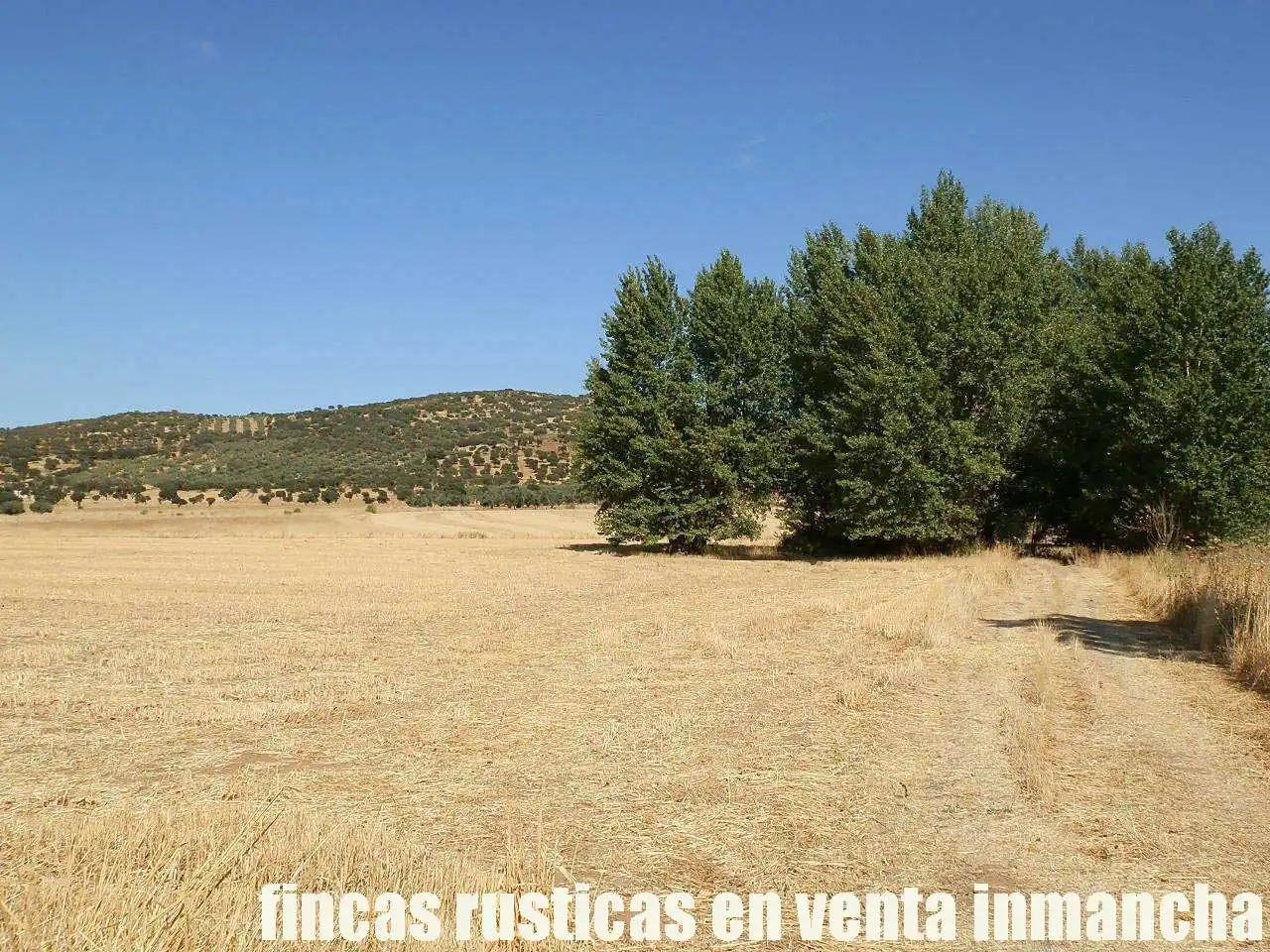Terreny rústic en venda a Fuente el Fresno, imagen 3