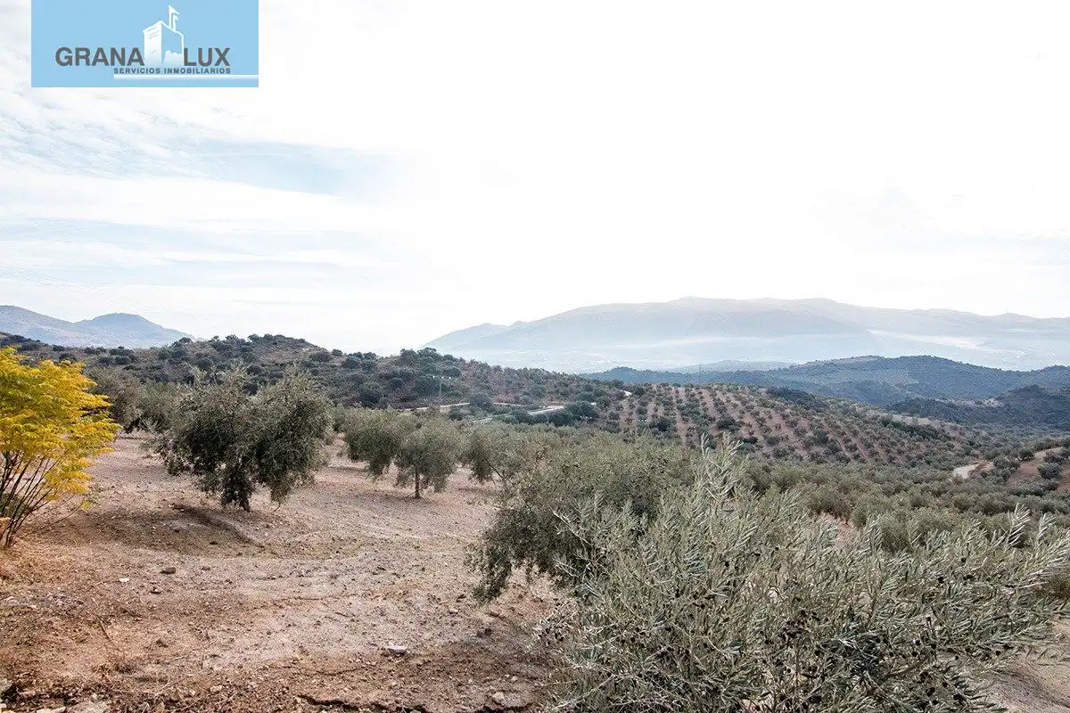 Country homes for sale in Loja