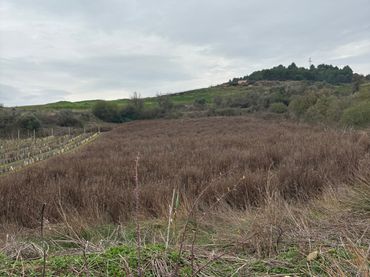 Terreno rustico in vendita a Lardero