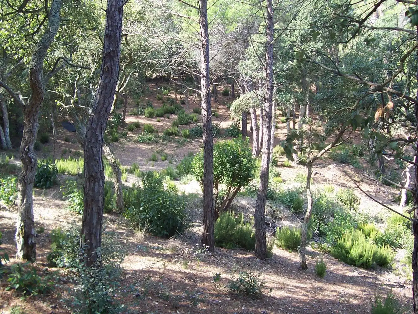Terreno residencial en venta en Serra Brava, imagen 4