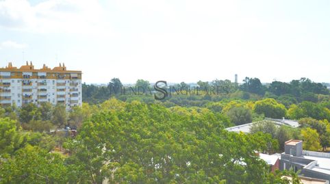Foto 2 de Piso en venta en Barrio San Diego, Pino Montano - Consolación, Sevilla Capital