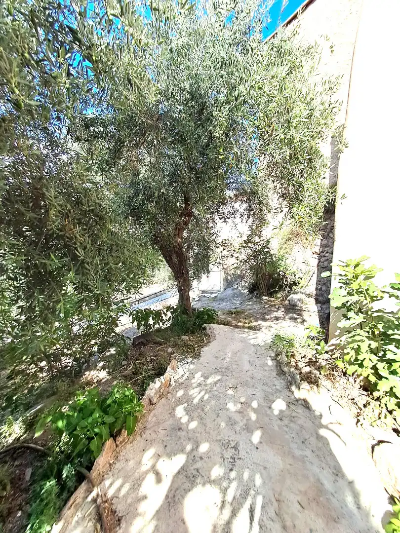 Jardín de Casa o chalet en venta en Alcolea
