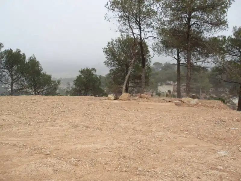Residential land for sale in La Pobla de Claramunt, imagen 8