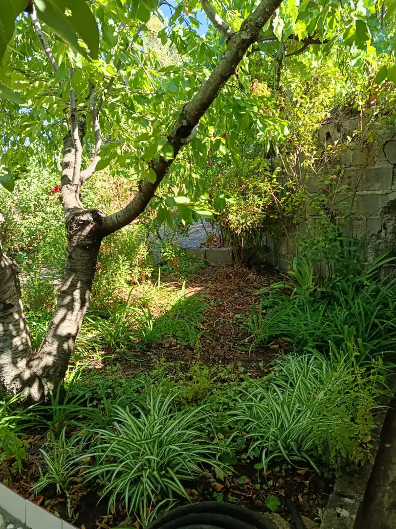Garden of Land for sale in Jarandilla de la Vera