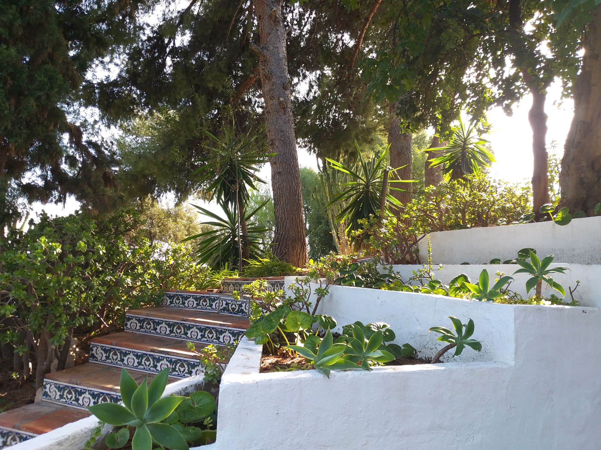 Jardí de Casa o xalet en venda en Málaga Capital amb Jardí privat, Piscina i Moblat