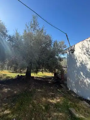 Land for sale in Alfarnatejo