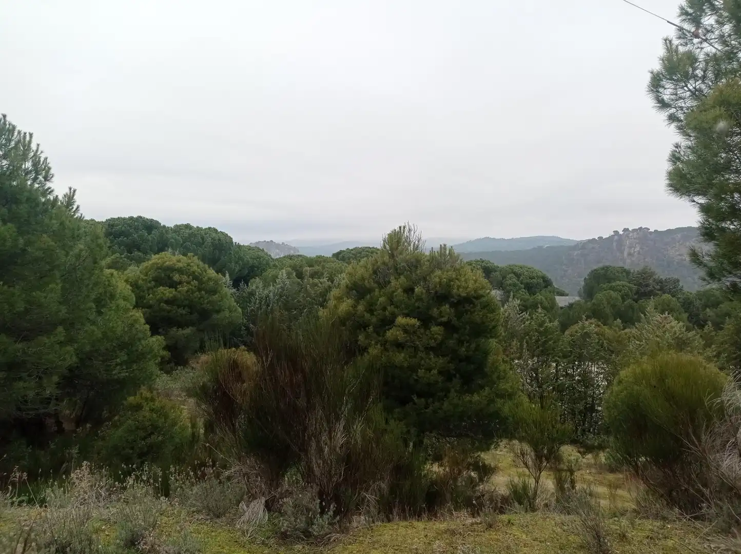 Terreny rústic en venda a San Martín de Valdeiglesias, imagen 20