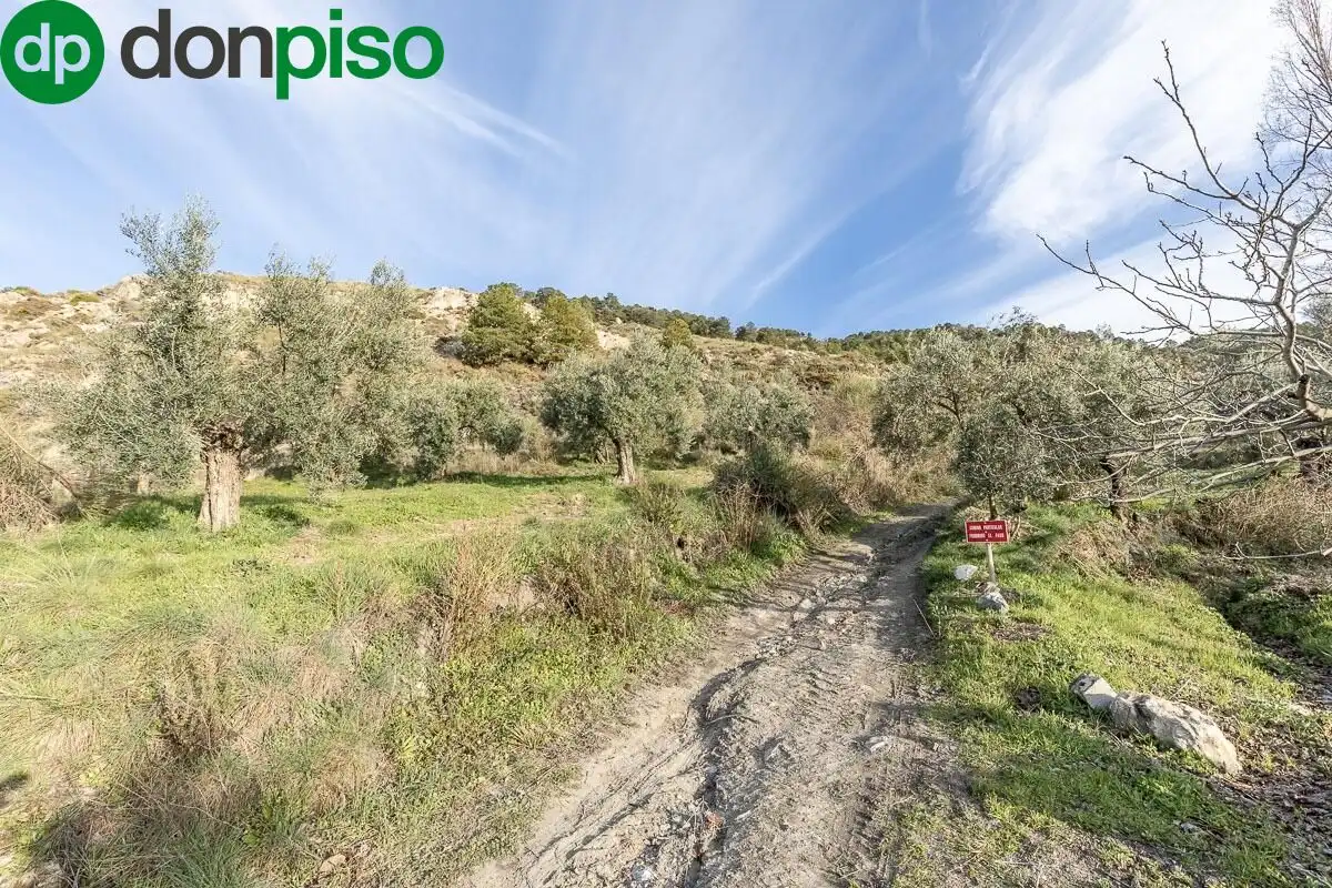 Rustikales Grundstück zum Verkauf in Camino DE LA UMBRIA, imagen 18