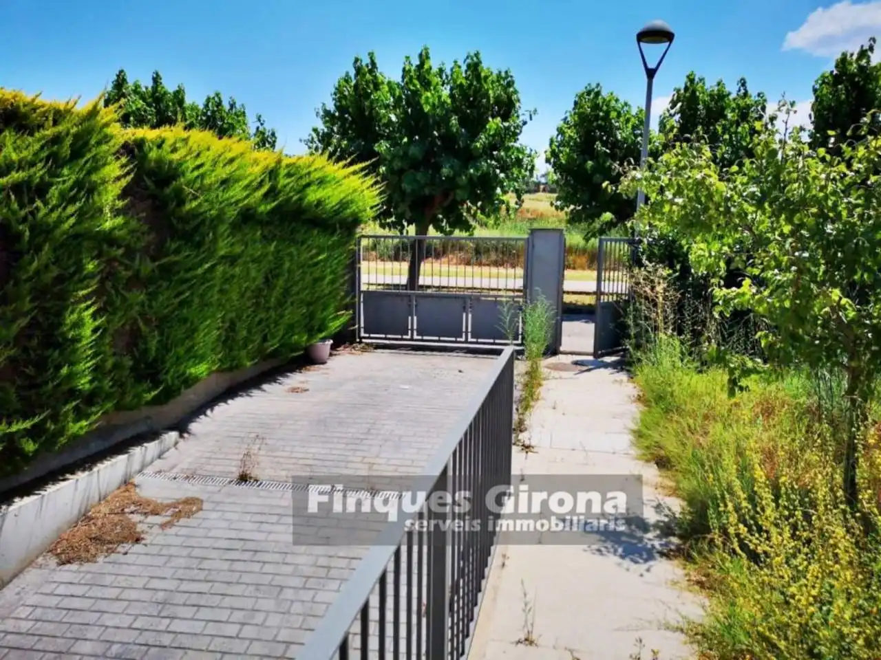 Vista exterior de Casa o chalet en venta en La Pera con Jardín privado y Terraza