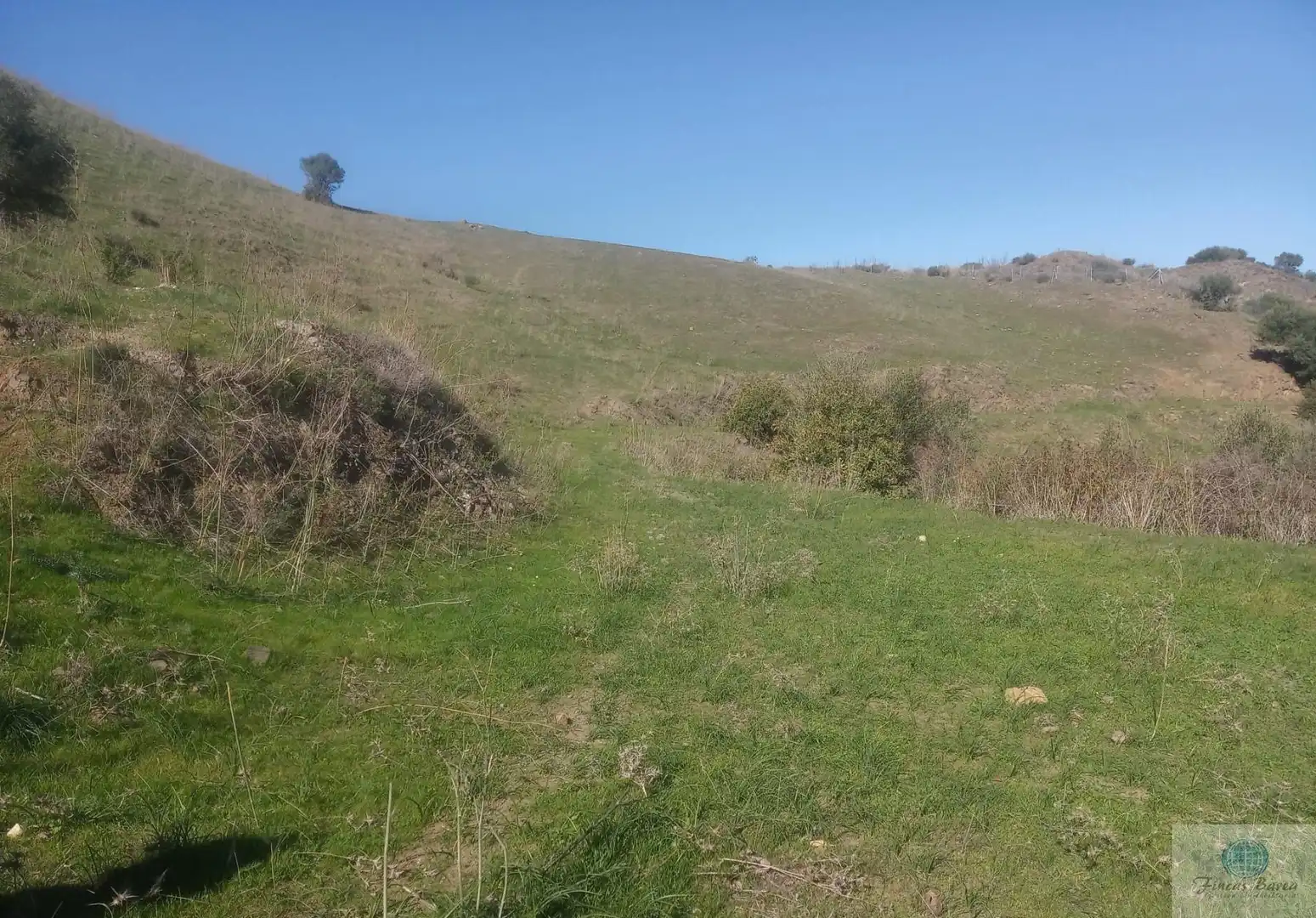 Finca rústica en venda en Mijas