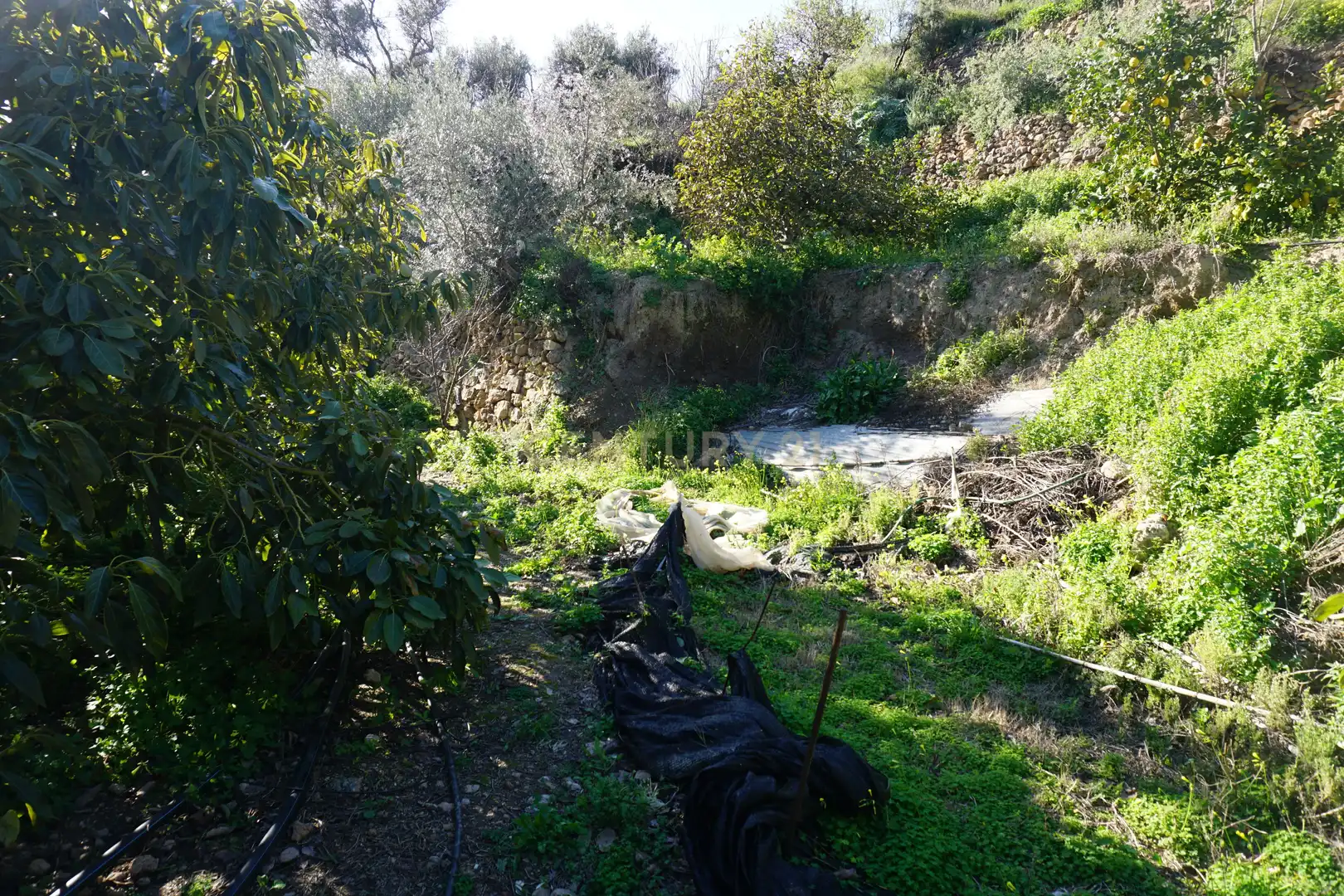 Terreni e lotti in vendita a WG79+QW Lanjarón, Spain, imagen 6