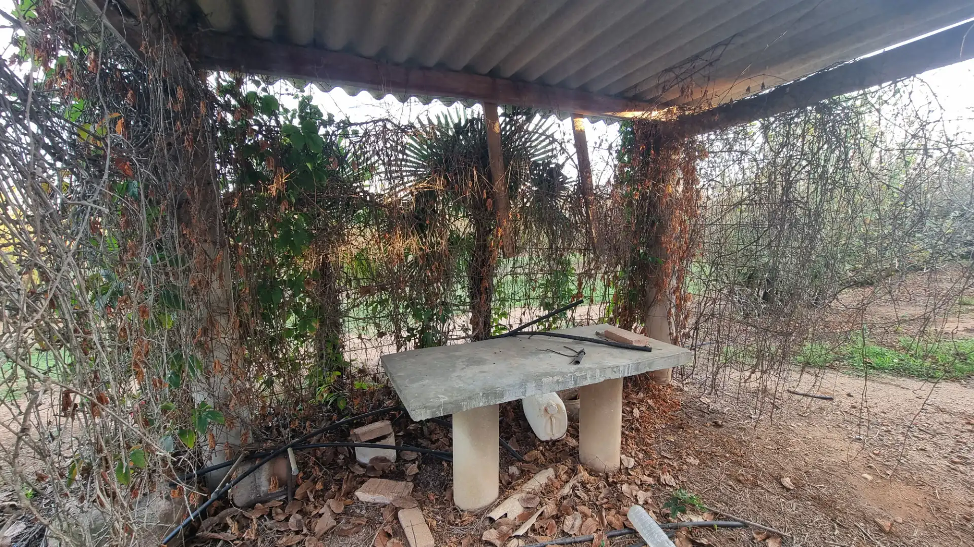 Terraza de Terreno en venta en Vilallonga del Camp