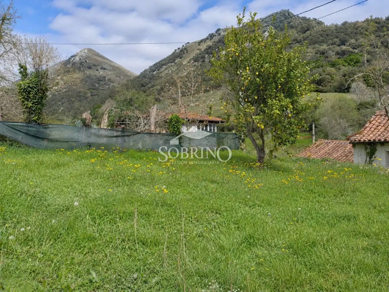 Casa amb jardí en venda a Calle Narganes, imagen 18