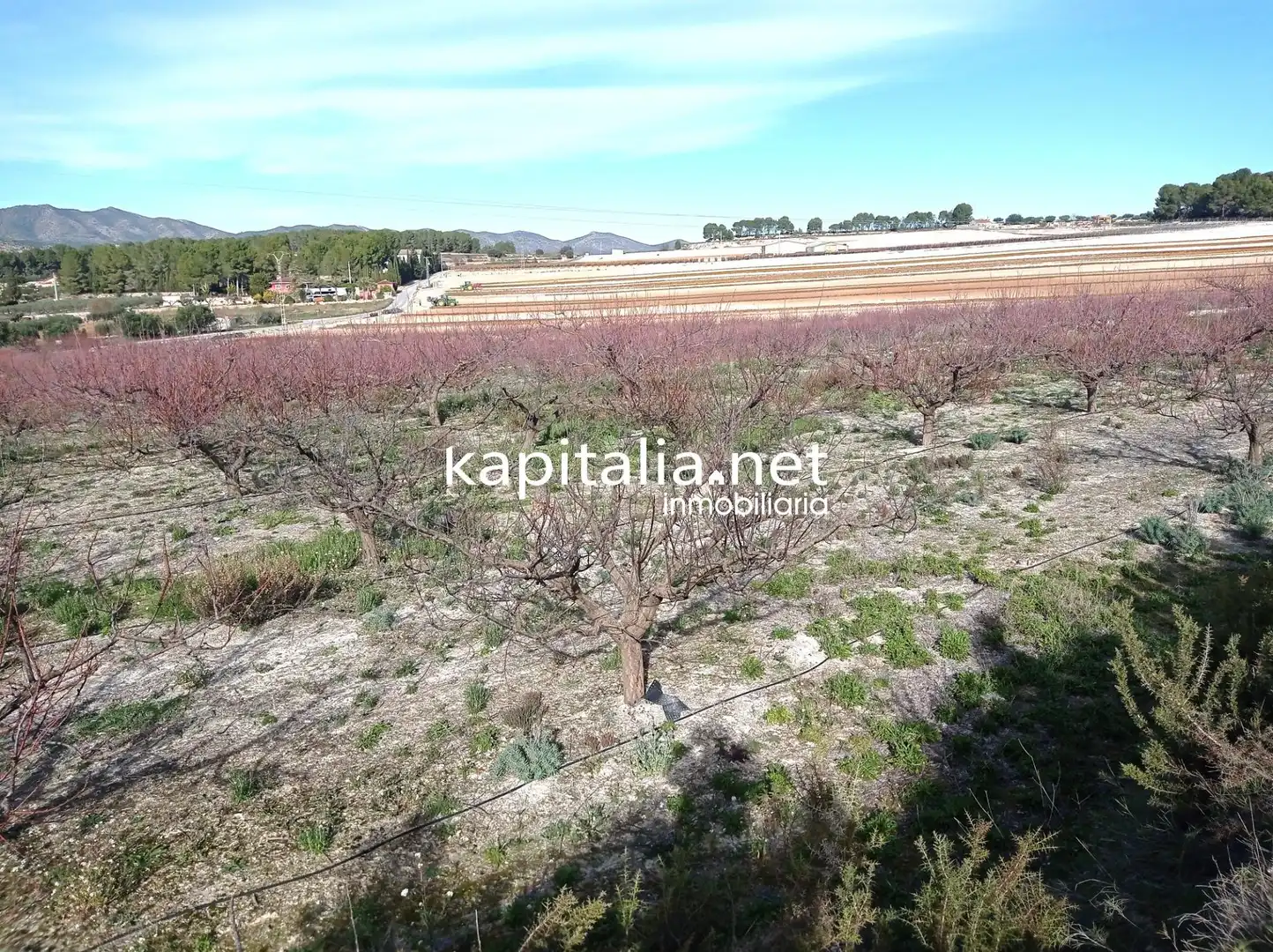 Terreno residenziale in vendita a Agullent, imagen 7