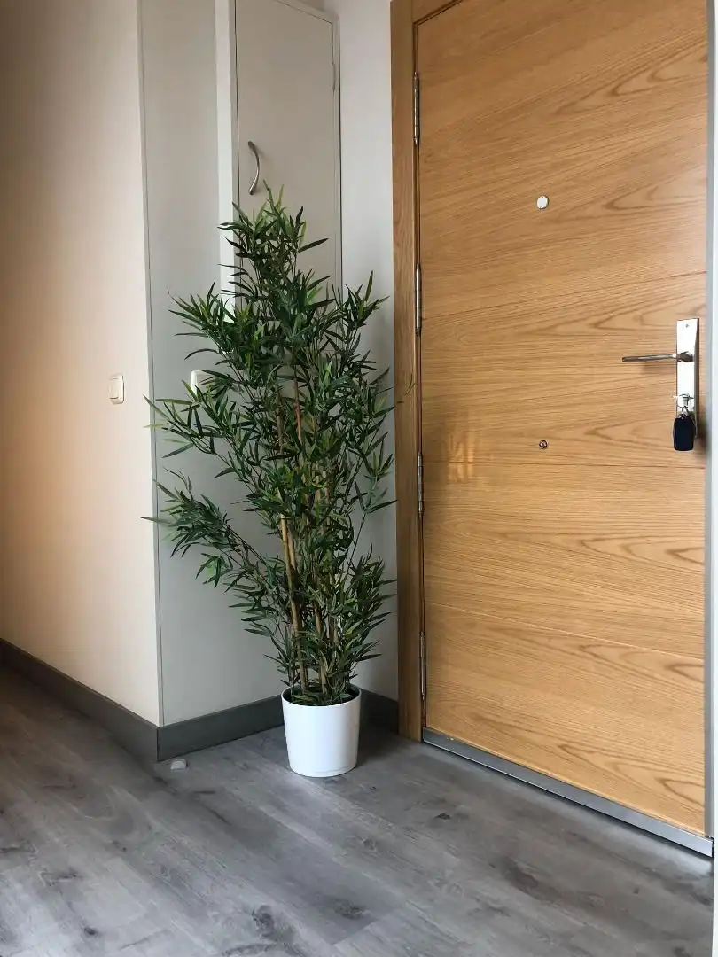 Flat for rent in Calle Ancha, Universidad - Tenerías