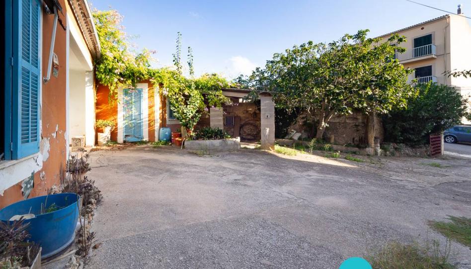 Photo 1 of House or chalet for sale in Fàbrica, Llubí, Illes Balears