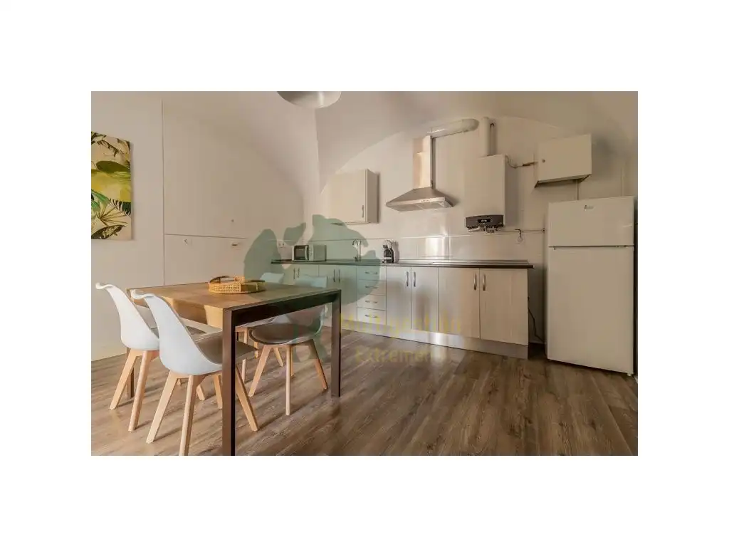 Kitchen of Apartments for rent in Cáceres  with Air Conditioner, Terrace and Furnished